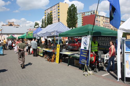 Dzień Ziemi Ostrołeka 2014